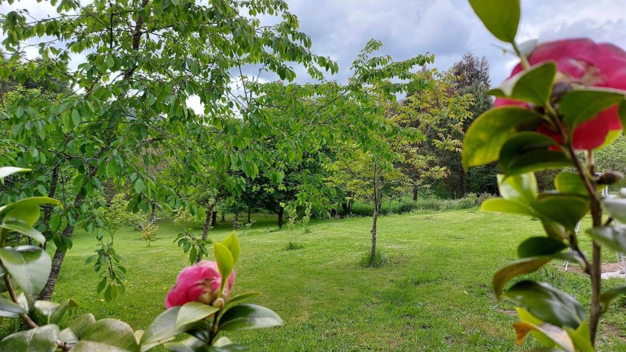 A Casa Dos Avos - Vilarino - A Coruna Luaran gambar
